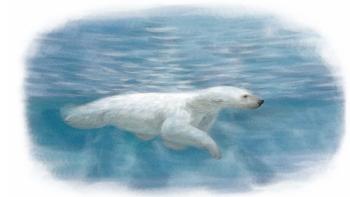 1709776684240740.jpg 1709776684240740.jpg